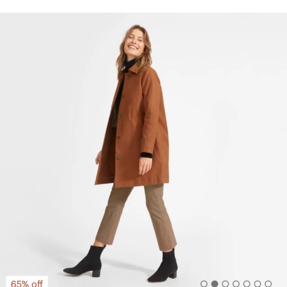 Everlane Mac Coat in Brown